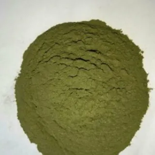 Bearberry Leaf Whole Powder
