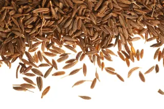 Cumin Seeds