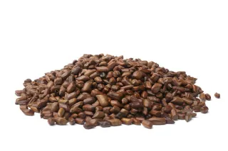 Cassia seeds