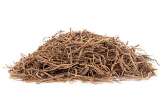 Gentian Root