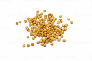 Coriader Seeds