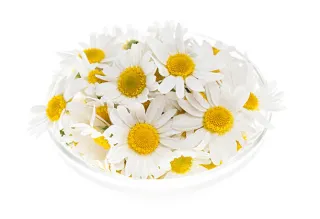 Chamomile Flower
