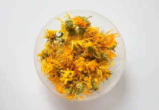 Calendula Flowers
