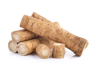 Burdock Root